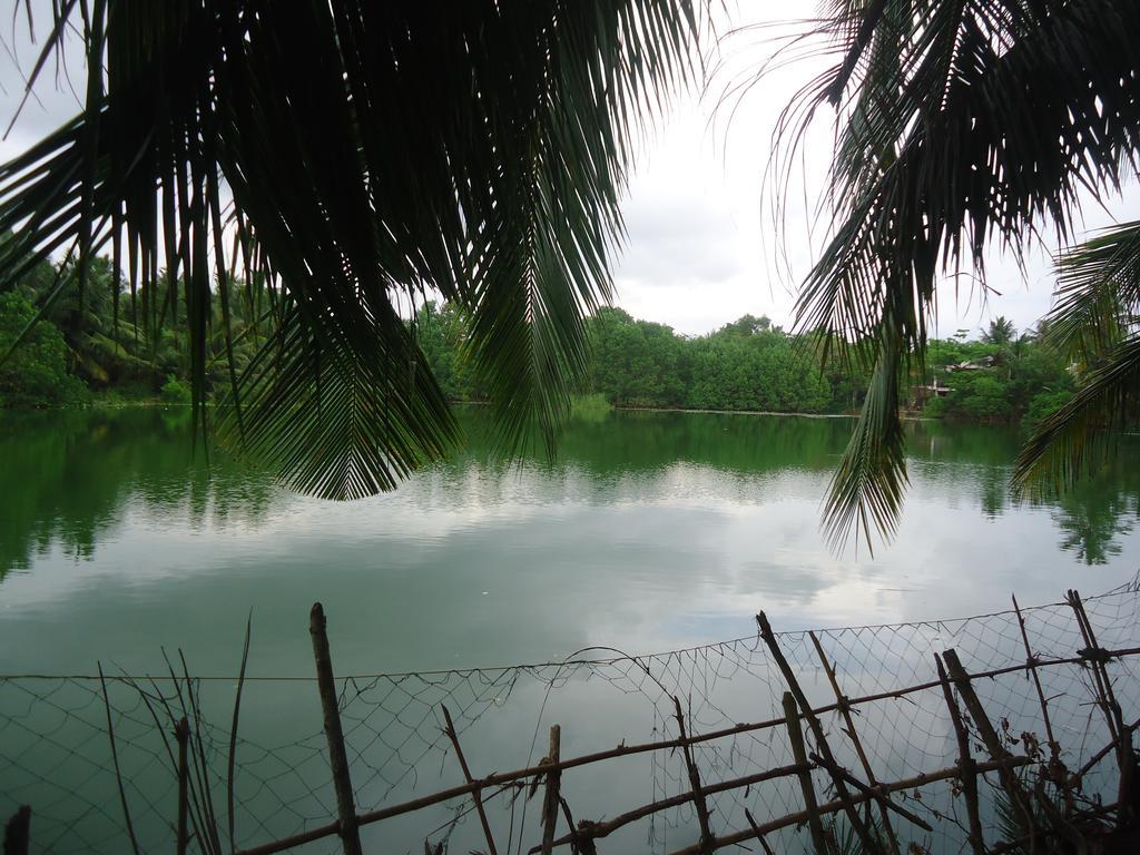 Lake View Cabana Paradise & Villa Tangalle Exterior foto