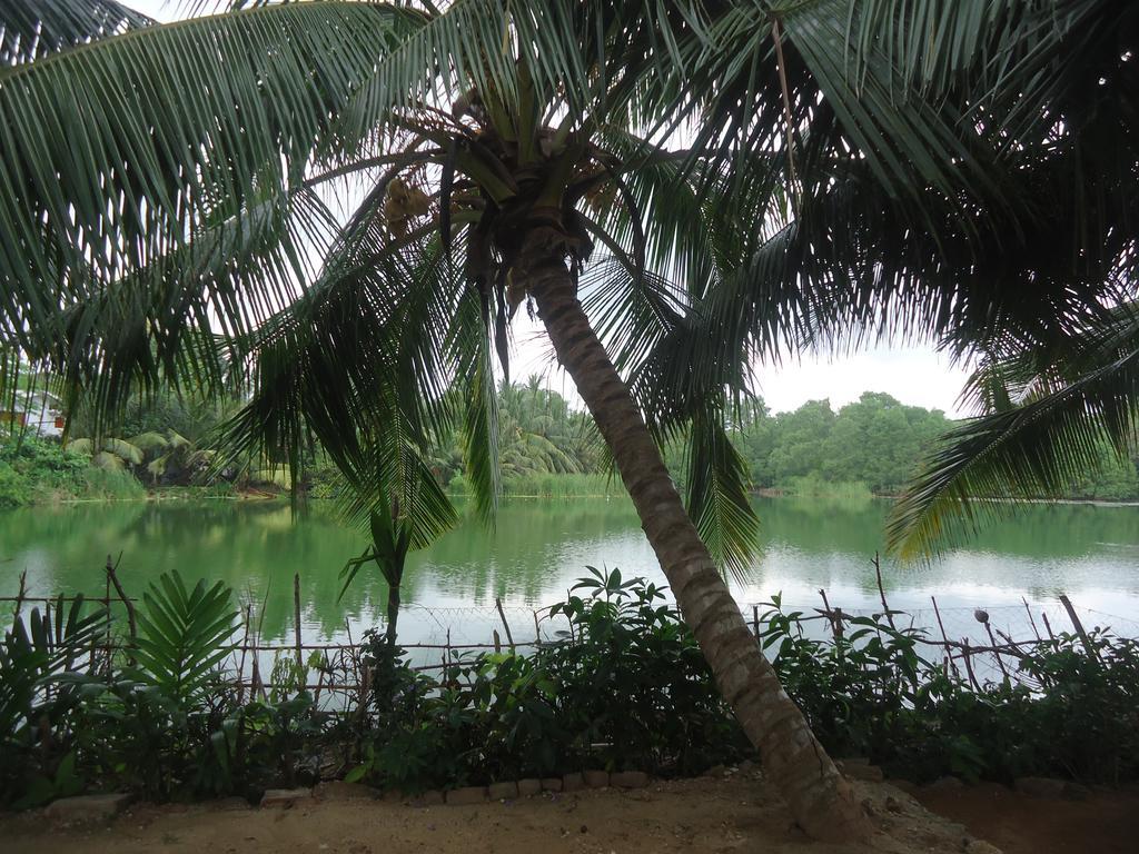 Lake View Cabana Paradise & Villa Tangalle Exterior foto